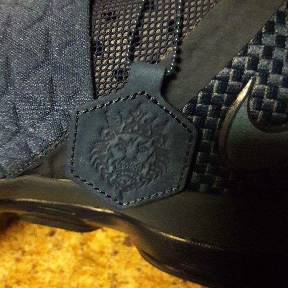 Lebron 14s size 14 ds - Picture 7 of 8